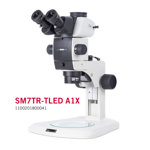 Motic Instruments - 1100201800041 - SM7TR-TLED A1X Stereo Microscopes (Fixed-Arm Stand with Transmitted Illumination)