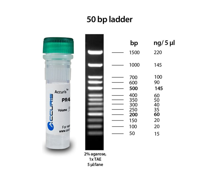 Benchmark Scientific - PR4005-100 - Accuris SmartCheck™ 50bp DNA Ladder