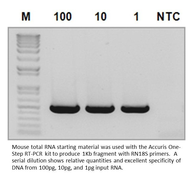 Benchmark Scientific - PR1100-50 - Accuris One-Step RT-PCR Kit, 50 Reactions