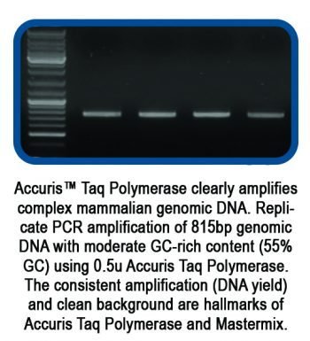 Benchmark Scientific - PR1000-500 - AccurisTaq DNA Polymerase, 500 Units