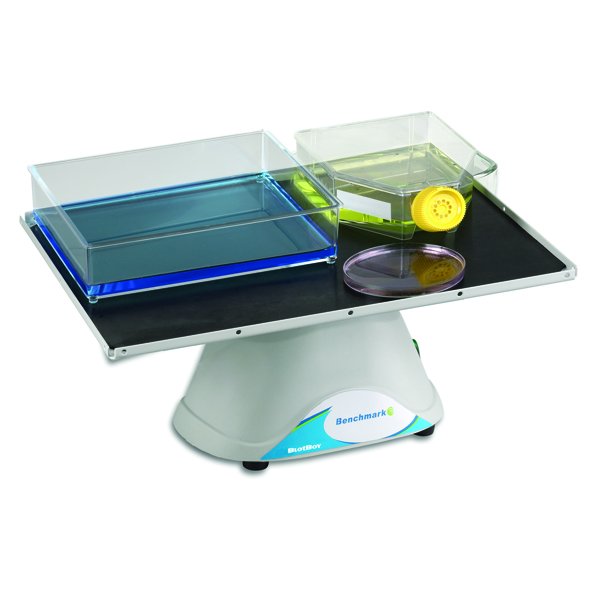 Benchmark Scientific - B3D1308 - BlotBoy™ 3D Rocker, Fixed Speed, 12"x12" Platform with Flat Mat, 115V