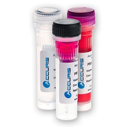 Benchmark Scientific - PR1001-R-S - Accuris 2x Taq Red Dye Master Mix Sample