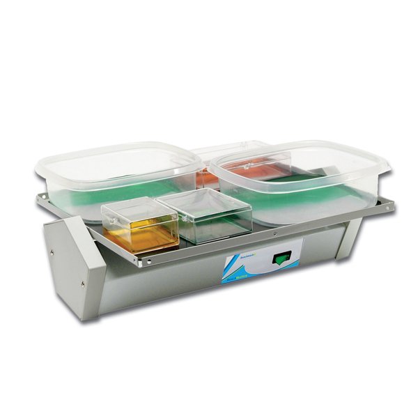 Benchmark Scientific - BR1000 - BenchBlotter™ Fixed Speed Platform Rocker with 12x12" Flat Mat Platform