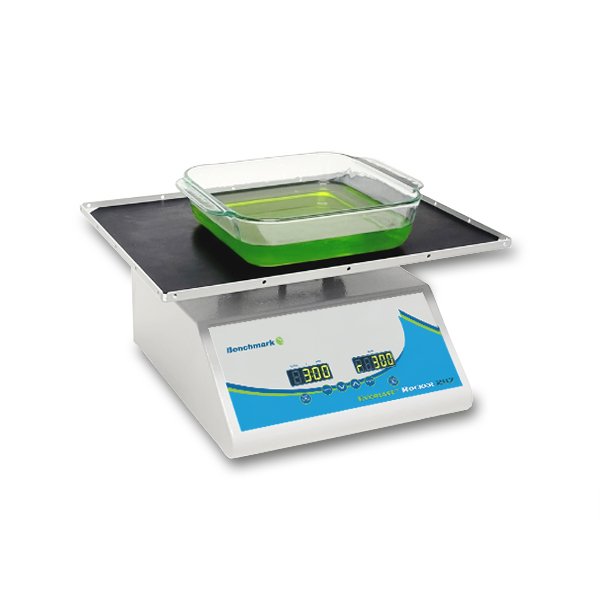 Benchmark Scientific - BR5000 - Everlast™ Rocker with Variable Speed and Flat Mat