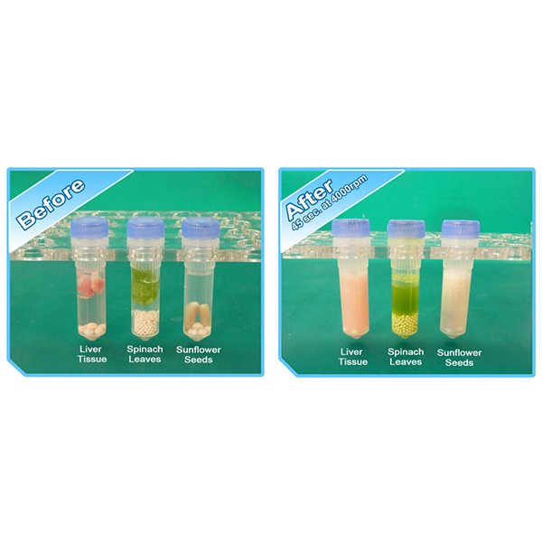 Benchmark Scientific - D1030 - BeadBug™ 3 Microtube Homogenizer, 115V