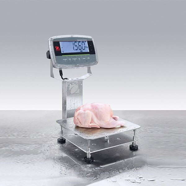 Ohaus - 30575571 - Defender™ 6000 Washdown Bench Scale i-D61PW25K1R6