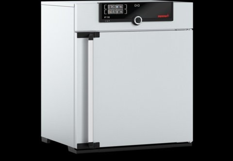 Memmert - IF 110, 230V - Forced Circulation Incubator