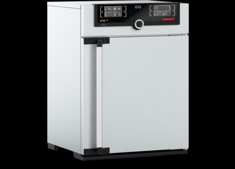 Memmert - IF 55 Plus, 230V - Forced Circulation Incubator