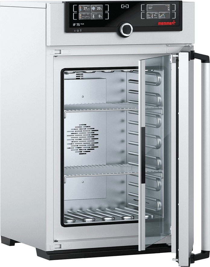 Memmert - IF 75 Plus, 230V - Forced Circulation Incubator