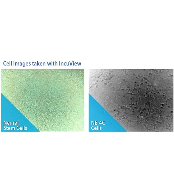 Benchmark Scientific - H3565-GROUP - SureTherm™ CO2 Incubator Series with IncuView™ LCI