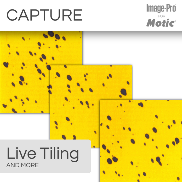 Motic Instruments - MB-SW-MA-PROU - Motic Analysis Professional Upgrade 64-Bit for Basic & Standard