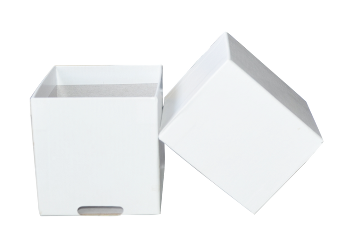 MB3C - White 3" Mini Box