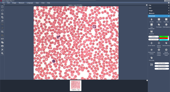 Motic Instruments - 1101001503681 - Motic Images Advanced 3.1 (PC Only)
