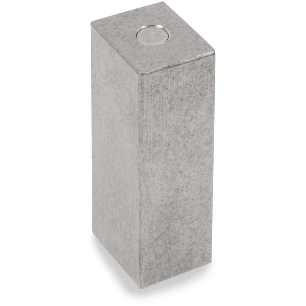 Ohaus - 30390541 - ASTM Individual Scale Calibration Weight 2P TEST Cube 1lb CL6 No Cert TR