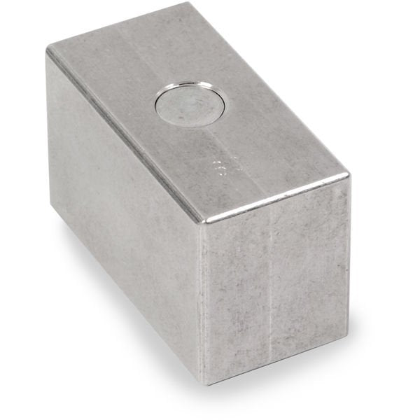 Ohaus - 30390578 - ASTM Individual Scale Calibration Weight 2P TEST Cube 300g CL6 No Cert TR