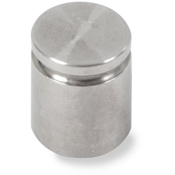 Ohaus - 83040854 - ASTM Individual Scale Calibration Weight 1P TEST CYL 0.3oz CL5 No Cert TR