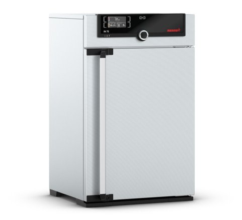 Memmert - IN 75, 115V - Natural Convection Incubator