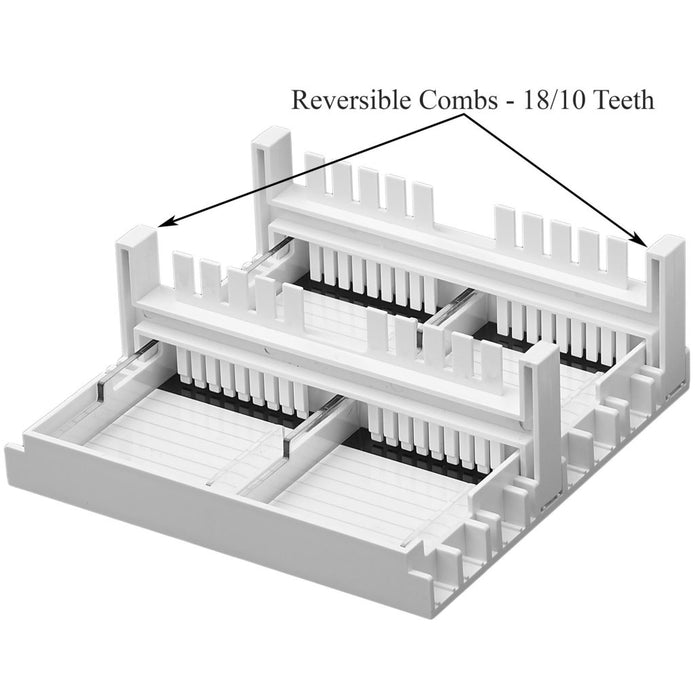 Benchmark Scientific - E1101-COMB2 - Reversible Combs, 18/10 Teeth