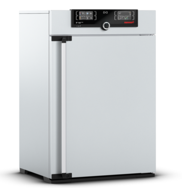 Memmert - IF 160 Plus, 115V - Forced Circulation Incubator
