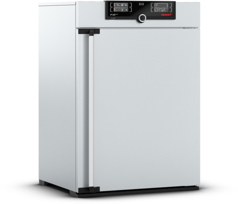 Memmert - IF 260 Plus, 115V - Forced Circulation Incubator