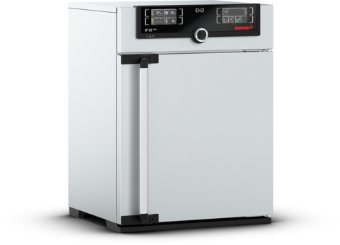 Memmert - IF 55 Plus, 230V - Forced Circulation Incubator