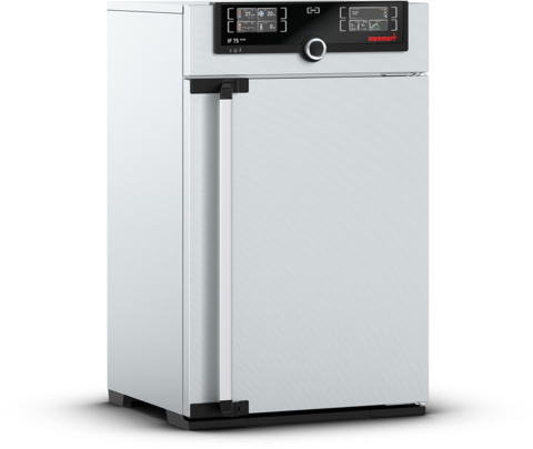 Memmert - IF 75 Plus, 230V - Forced Circulation Incubator