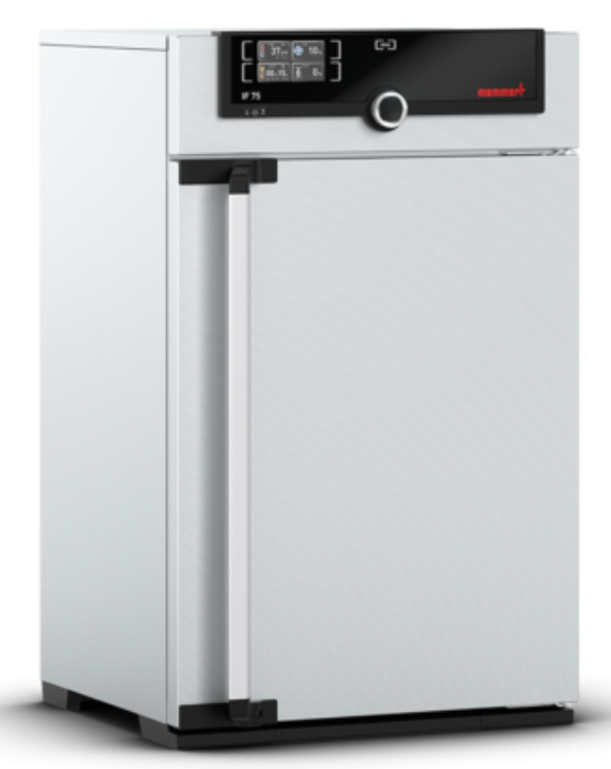 Memmert - IF 75, 115V - Forced Circulation Incubator
