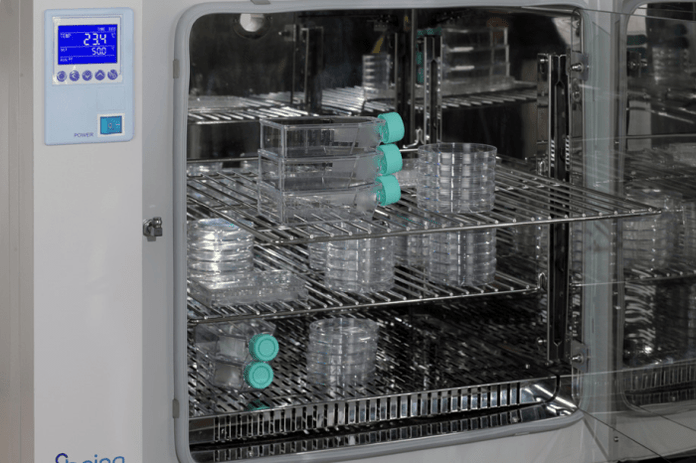 Being - BH151120U - Natural Convection Incubator