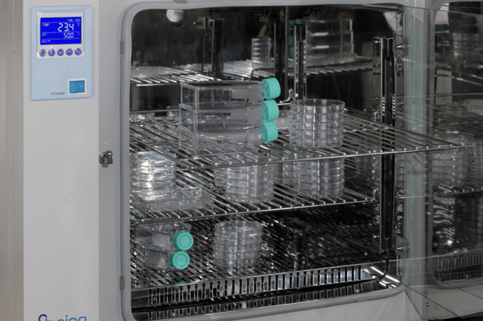 Being - BH151120U - Natural Convection Incubator