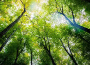 New Generation Ultra-Low Freezers Underscore Commitment to Sustainability