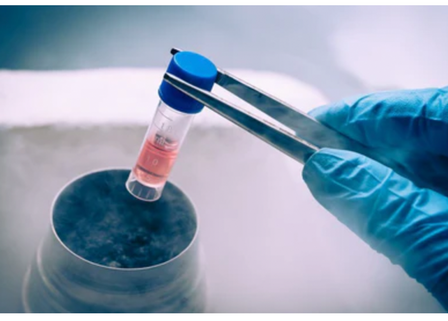 Liquid Nitrogen Safety and Handling: Storage, Transport & Risks