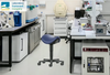 Saddle Stool Product Overview