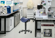 Saddle Stool Product Overview