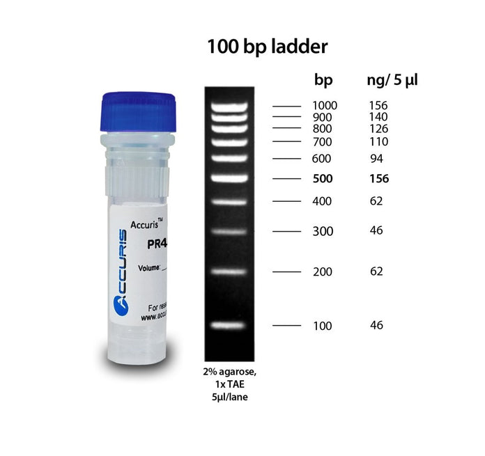 Benchmark Scientific - PR4010-100 - Accuris SmartCheck™ 100bp DNA Ladder