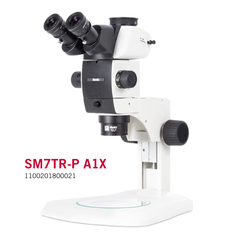 Motic Instruments - 1100201800021 - SM7TR-P A1X Stereo Microscopes (Fixed-Arm Stand)