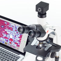 Motic Instruments - MOTICAM S-Line - Cameras & Softwares