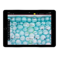 Motic Instruments - 1100600101501 - Moticam BTI8 Camera