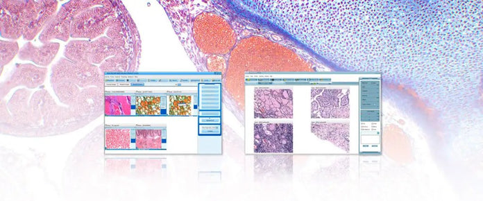 Motic Instruments - 1101008506552 - 32 Student License Includes 2 Routers and a Network Switch