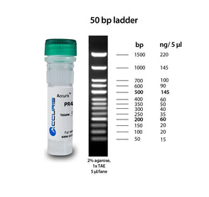Benchmark Scientific - PR4005-100 - Accuris SmartCheck™ 50bp DNA Ladder