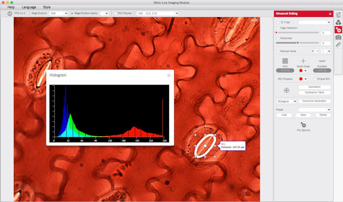 Motic Instruments - 1101001503681 - Motic Images Advanced 3.1 (PC Only)