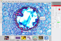 Motic Instruments - 1101001503681 - Motic Images Advanced 3.1 (PC Only)
