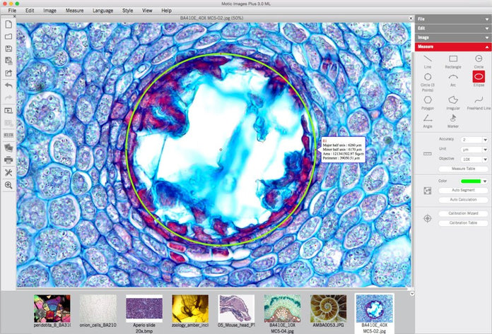 Motic Instruments - 1101001503681 - Motic Images Advanced 3.1 (PC Only)