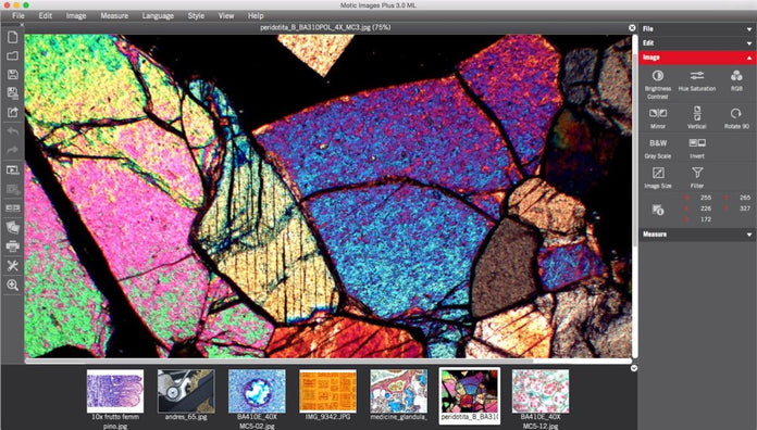 Motic Instruments - 1101001503681 - Motic Images Advanced 3.1 (PC Only)