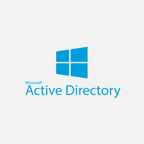 Raypa - ACT-DIR - Integration with Active Directory