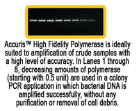 Benchmark Scientific - PR1000-HF-200 - Accuris High Fidelity DNA Polymerase, 200 Units