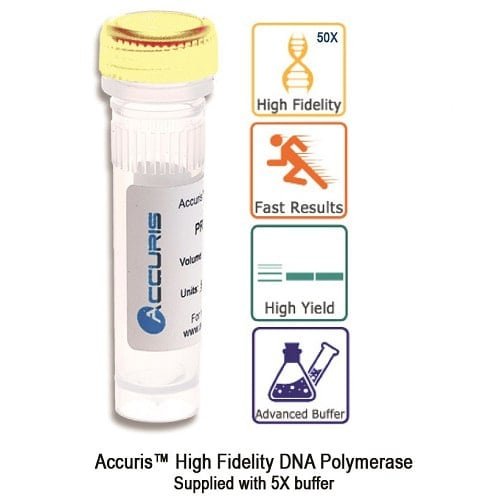 Benchmark Scientific - PR1000-HF-1000 - Accuris High Fidelity DNA Polymerase, 1000 Units