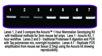 Benchmark Scientific - PR1300-MG-S - Accuris 1 Hour Mammalian Genotyping Kit Sample