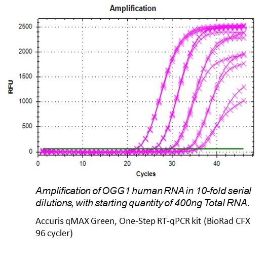 Benchmark Scientific - PR2121-H-S - Accuris qMAX Probe One-Step RT-qPCR Kit, High Rox, Sample