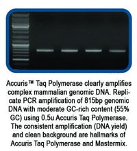 Benchmark Scientific - PR1000-500 - AccurisTaq DNA Polymerase, 500 Units