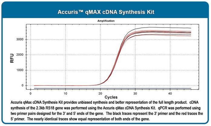 Benchmark Scientific - PR2100-C-S - Accuris qMax cDNA Synthesis Kit, Sample